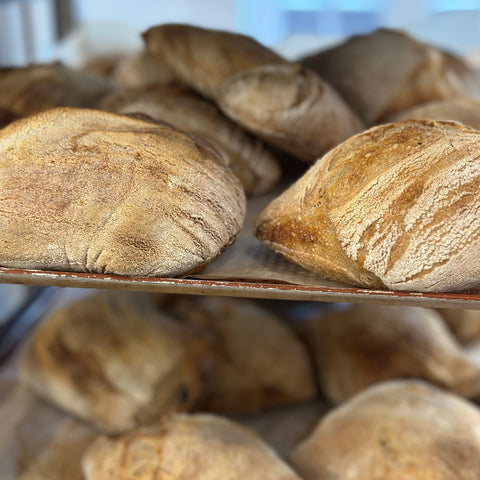 Olive Sourdough