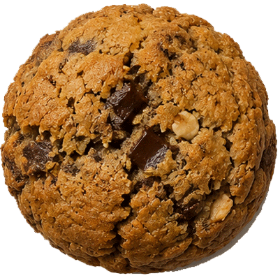 Dark Chocolate and Sea Salt cookie
